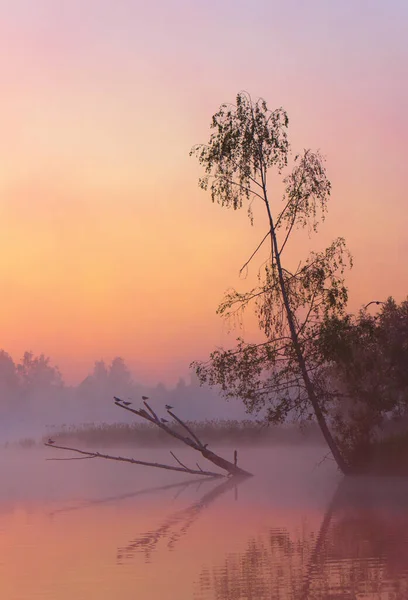 Vista Paisagem Com Nascer Sol Acima Lago — Fotografia de Stock