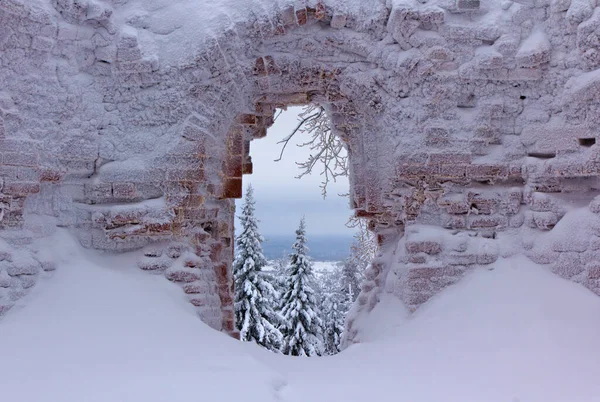 レンガの壁で冬の風景 — ストック写真