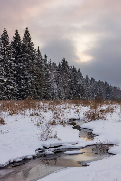 Vinterlandskap Med Snötäckta Träd — Stockfoto