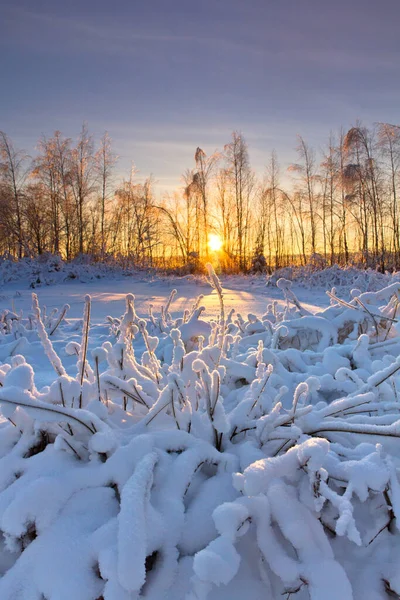 Setting Sun Winter Landscape — Stock Photo, Image