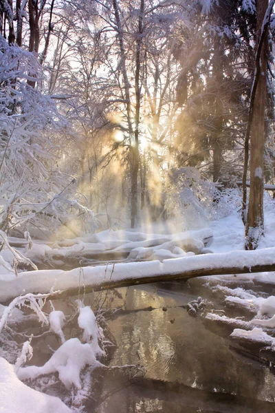 Paisagem Inverno Com Árvores Cobertas Neve — Fotografia de Stock