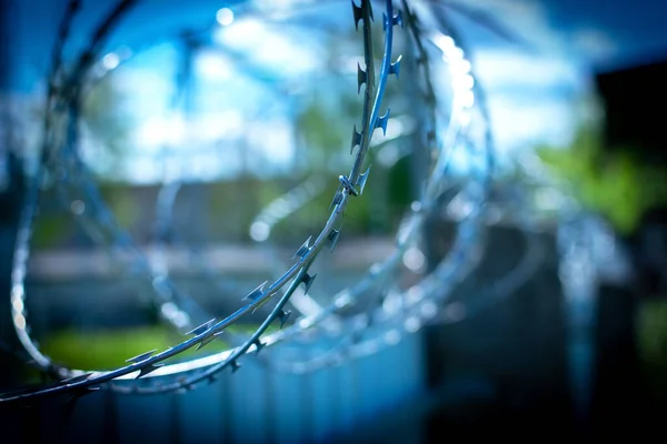 Açık mavi gökyüzünün önünde dikenli telli bir çit. Yasak bölgenin bariyeri.