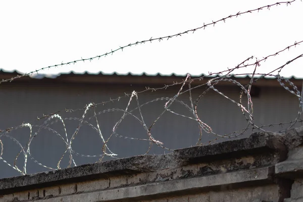 Gökyüzüne karşı dikenli tel örgü.