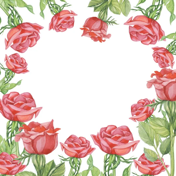 红色玫瑰水彩花白色背景隔离物 — 图库照片