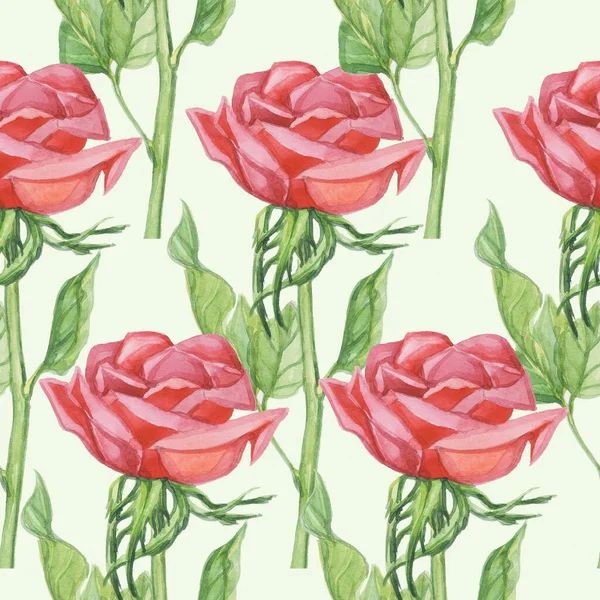 Pattern Red Roses Watercolor Flower Green Background Isolate Object — Stock Photo, Image