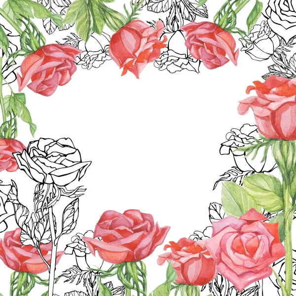 框架图案红玫瑰水彩花白色背景隔离对象 — 图库照片