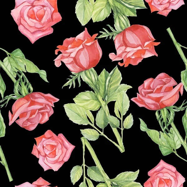 花纹红玫瑰水彩花黑色背景隔离物 — 图库照片