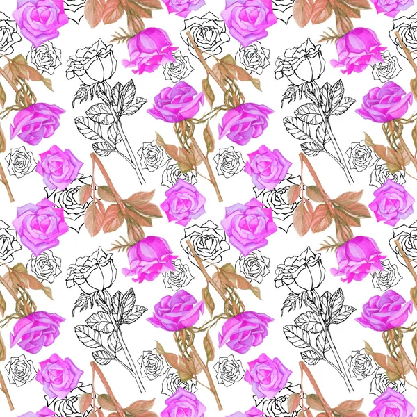Muster Rosa Rosen Aquarell Blume Weißer Hintergrund Isolieren Objekt — Stockfoto