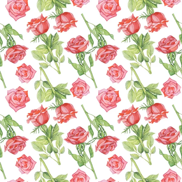 Pattern Red Roses Watercolor Flower White Background Isolate Object — Stock Photo, Image