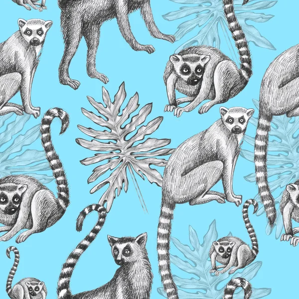 Lemurs Wzór Rysunek Sylwetka Tropikalne Zwierzęta Izolować Obiekt Niebieski Tło — Zdjęcie stockowe