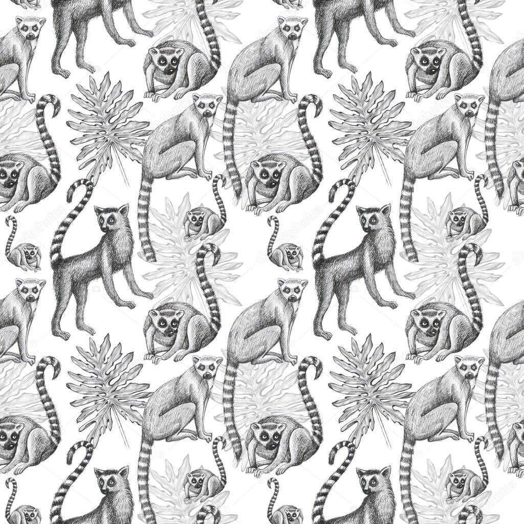 lemurs pattern drawing silhouette tropical animals isolate object white background primacy