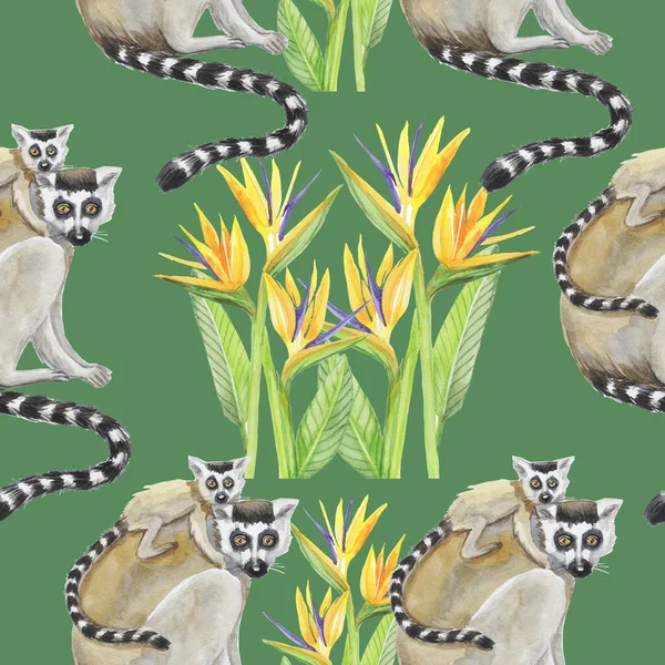 Lemur Mládě Vzor Akvarel Silueta Tropická Zvířata Izolovat Objekt Pozadí — Stock fotografie