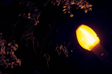 Gece karanlığında sokak feneri Açık renk