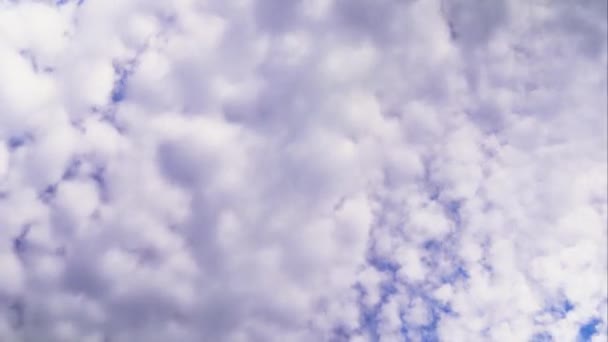 Cumulus Clouds Fast Timelapse Intense Blue Sky Close Cumulus Clouds — Stock Video