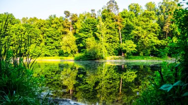 Park renginde Yaz Havuzu