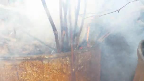 Спалювання Деревини Залізній Бочці — стокове відео