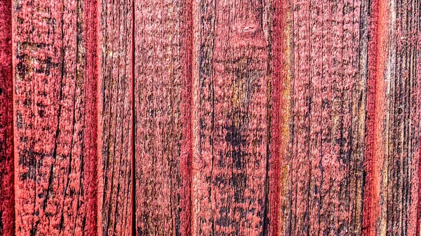 Texture Old Board Color — Stock Photo, Image