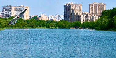 Beyaz martı suyun üzerinde uçar.