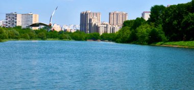 Beyaz martı suyun üzerinde uçar.