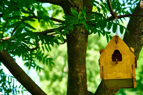 Schönes Vogelhaus Das Einem Ast Hängt — Stockfoto