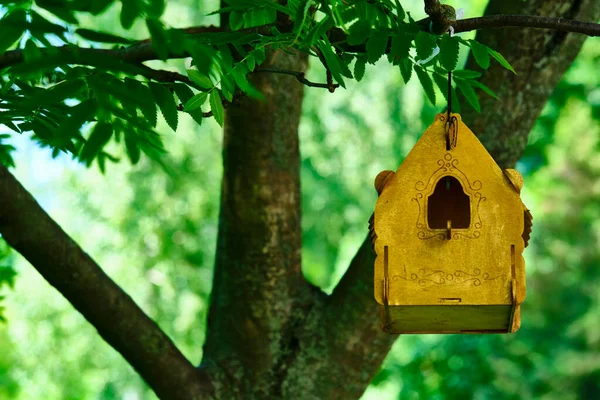 Schönes Vogelhaus Das Einem Ast Hängt — Stockfoto