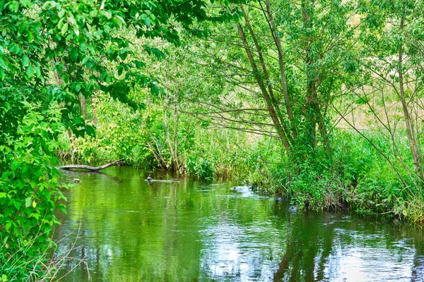 乡村美丽的河流 — 图库照片