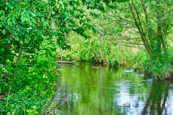 Schöner Fluss Der Landschaft — Stockfoto