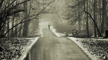 Kar olmayan kış orman parkı. Kış çok sıcaktır. Bahar kasırgasında devrilen ağaçların temizliği var.