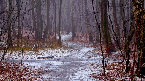 Ismailowski Park Moskau Russland Beliebter Ort Zum Wandern Sommerblick Kein — Stockfoto