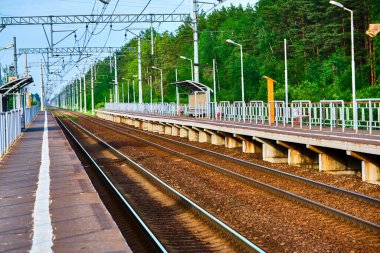 Ormandaki boş bir tren istasyonu.