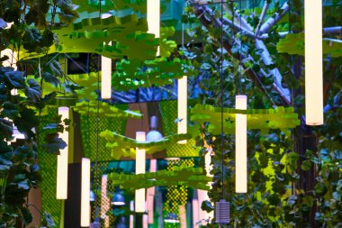 Modern bir ofiste yeşilliği olan açık alan.