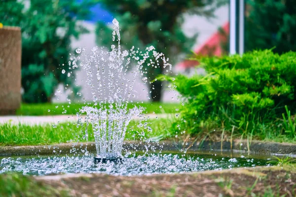 beautiful fountain in the garden. general plan.