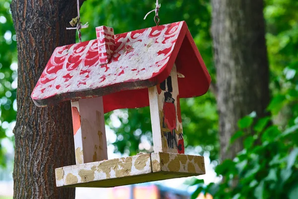Alimentador Pássaros Está Pendurado Galho Árvore Plano Geral — Fotografia de Stock
