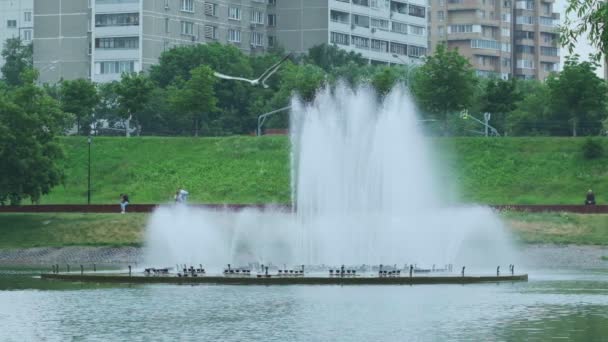 从喷泉喷出的水柱。水上飞机城市喷泉。水压如何在高温下生存。城市炎热的夏天. — 图库视频影像