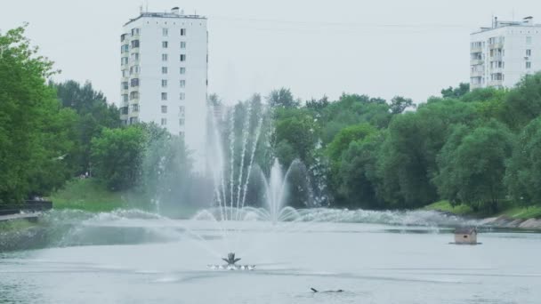 慢动作从喷泉喷出的水柱 水上飞机城市喷泉 水压如何在高温下生存 城市炎热的夏天 — 图库视频影像