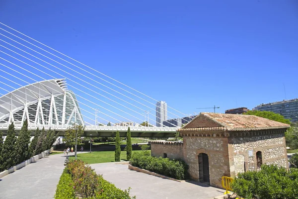 Valencia Valencia Sanat Bilim Şehri — Stok fotoğraf