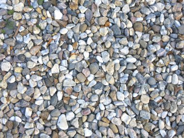 Taştan yapılmış çok renkli çakıl, mükemmel doğal arka plan.