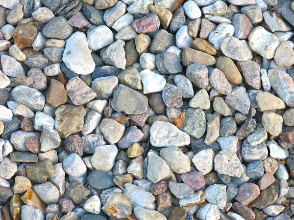 Többszínű Kavics Kövekből Kiváló Természeti Háttér — Stock Fotó