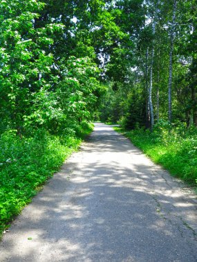 Banliyö köyünün gölgeli yaz şeridi
