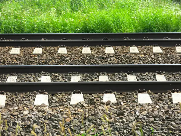 Rails Moscow Region Railway Summer Sunny Weather — Stock Photo, Image