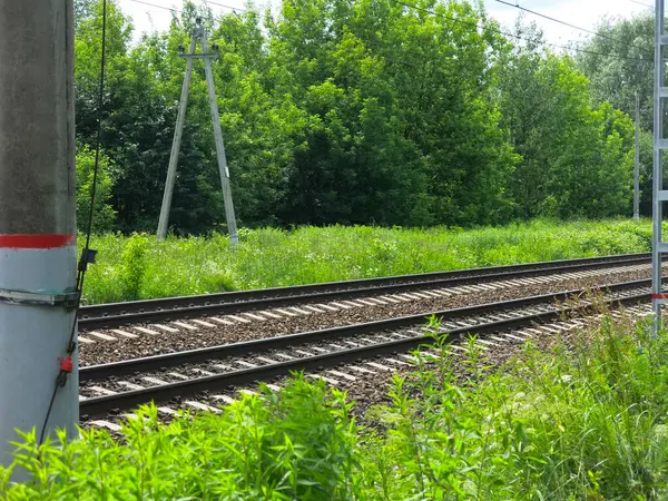 Schienen Der Moskauer Regionalbahn Sommer Bei Sonnigem Wetter — Stockfoto