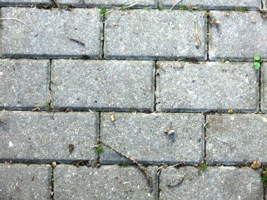 Gri dikdörtgen kiremitler sonbahar yapraklı kaldırım taşları