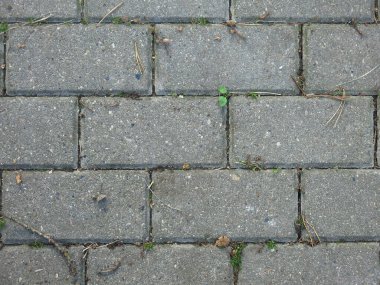 Gri dikdörtgen kiremitler sonbahar yapraklı kaldırım taşları