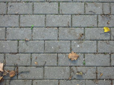 Gri dikdörtgen kiremitler sonbahar yapraklı kaldırım taşları