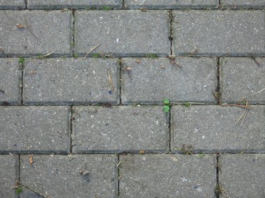 Gri dikdörtgen kiremitler sonbahar yapraklı kaldırım taşları