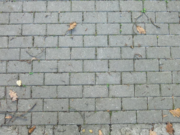 Серые Прямоугольные Плитки Плитки Осенними Листьями — стоковое фото