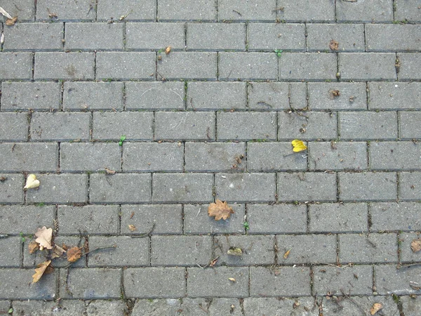 Grijze Rechthoekige Tegels Bestrating Stenen Met Herfst Bladeren — Stockfoto