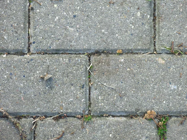Azulejos Retangulares Cinzentos Pedras Pavimentação Com Folhas Outono — Fotografia de Stock