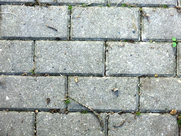 Gri dikdörtgen kiremitler sonbahar yapraklı kaldırım taşları