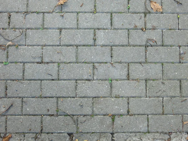 Azulejos Retangulares Cinzentos Pedras Pavimentação Com Folhas Outono — Fotografia de Stock